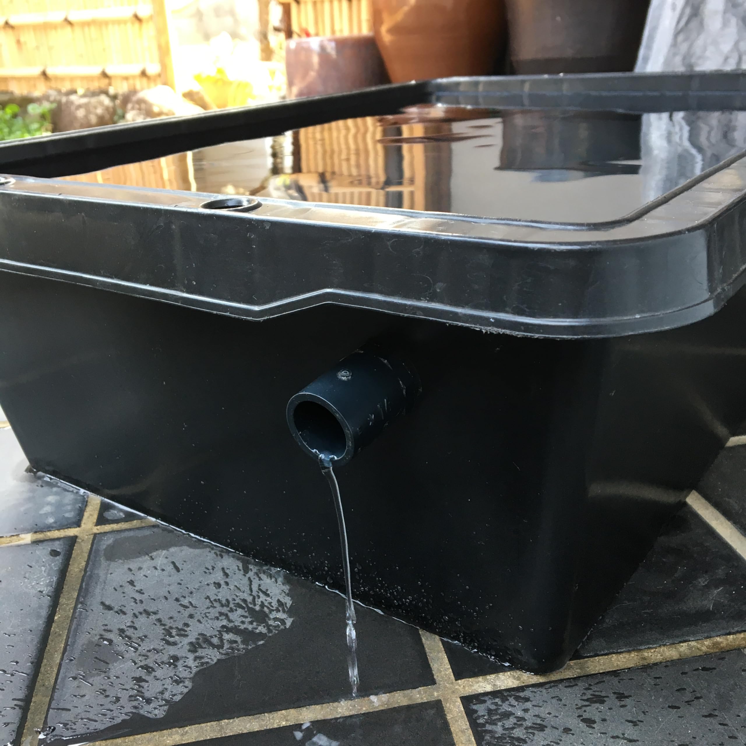 Amazon | 五色アクア メダカ飼育ケース 60リットル 黒 オーバーフロー