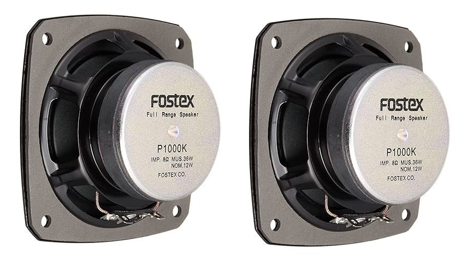 20箱セット Fostex Stereo スピーカー 10cm フルレンジ 20箱セット