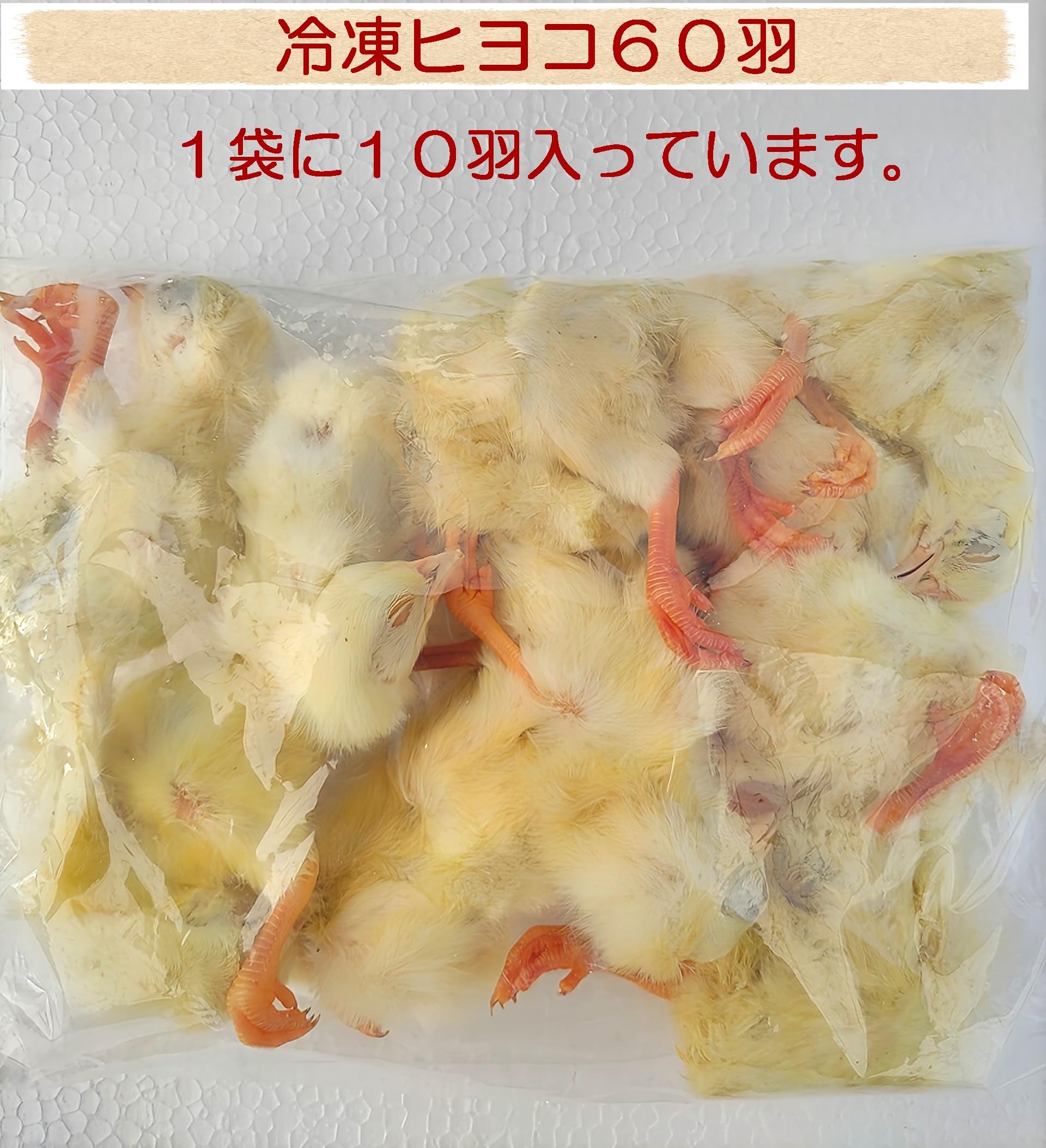 Amazon.co.jp: フクロウ・タカ・ハヤブサ等の餌 冷凍ヒヨコ60羽入り