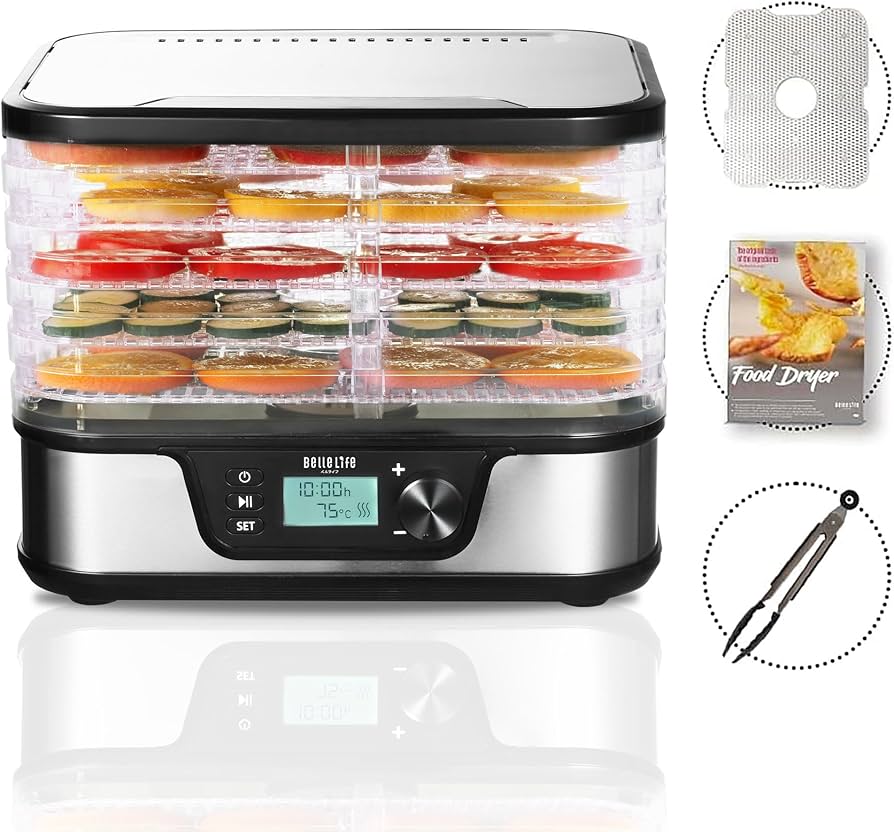 81zWLDfYiYL._AC_UF894,