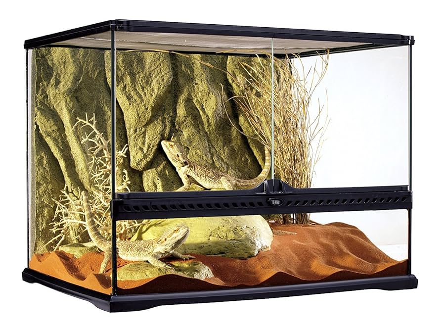 エキゾテラ6045 東広島市 とまさん専用 エキゾテラ6045 東広島市 と