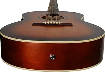 Amazon.co.jp: Norman ノーマン アコースティックギター Protege