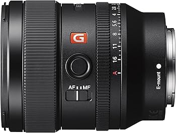 Amazon.com : Sony E-mount FE 24mm F1.4 GM Full Frame Wide-angle
