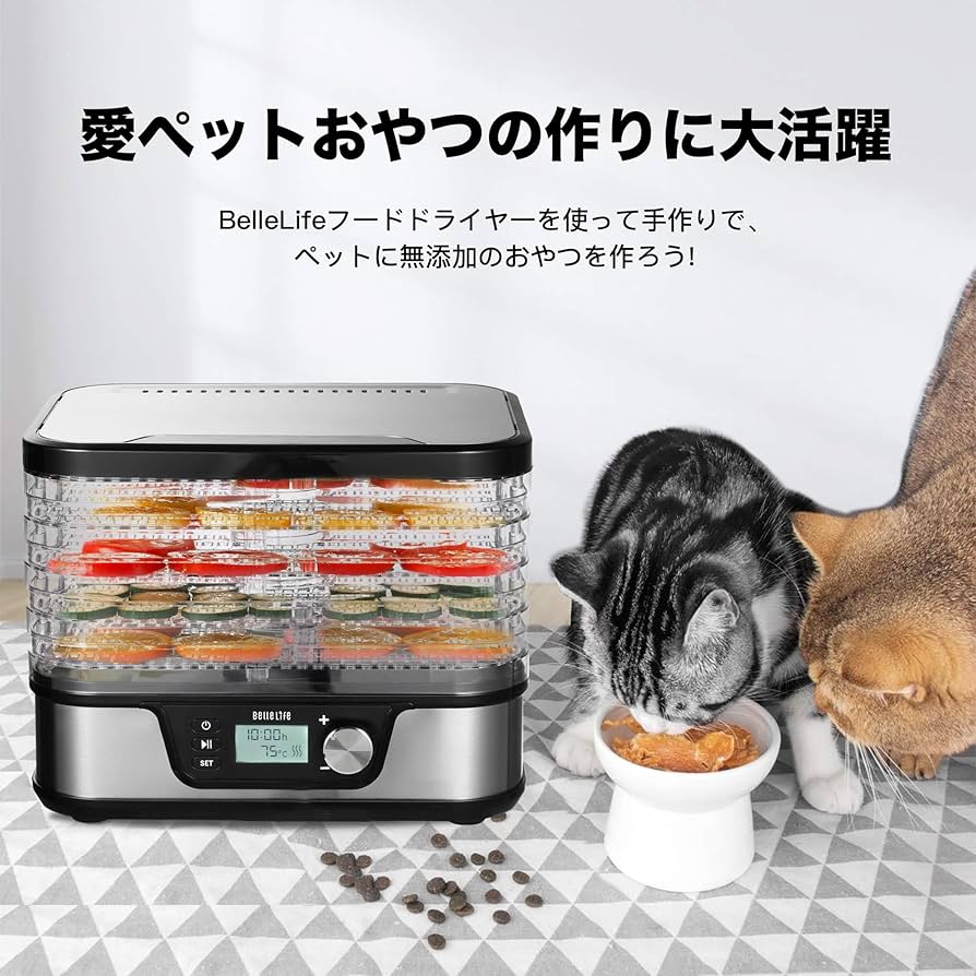 81AylwhAaWL._AC_UF894,