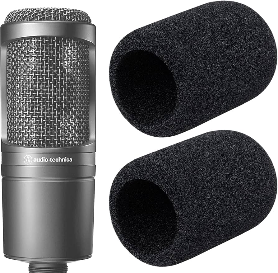 Amazon.com: YOUSHARES Audio-Technica AT2020 Pop Filter - 2 PCS