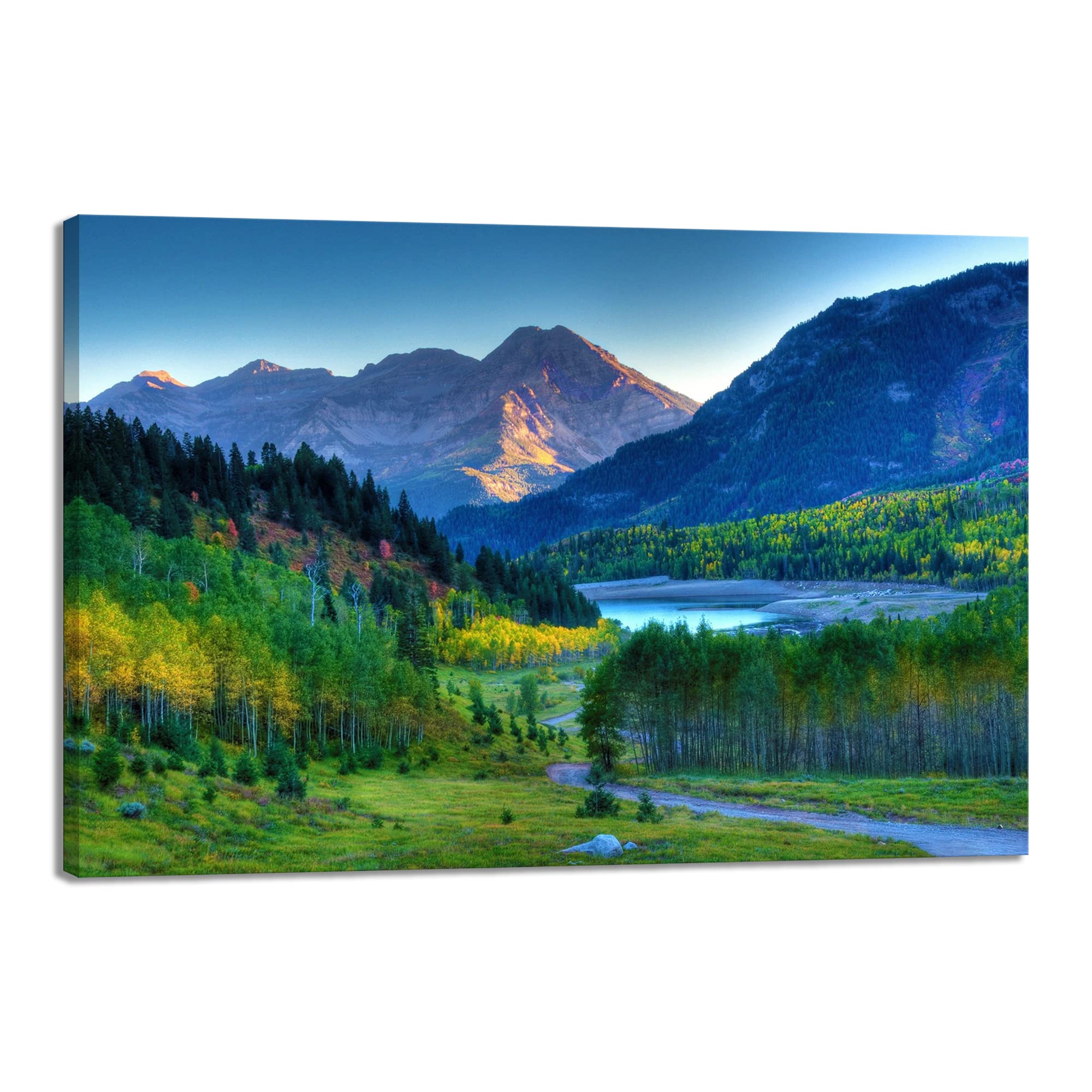 Amazon.co.jp: 山 森 アートパネル 森林 緑色 自然風景 ポスター 風景