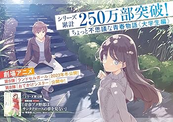 Amazon.co.jp: 青春ブタ野郎はサンタクロースの夢を見ない (電撃文庫