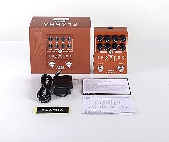 Amazon.com: FLAMMA FS22 Stereo Delay & Reverb Combo Effects Pedal