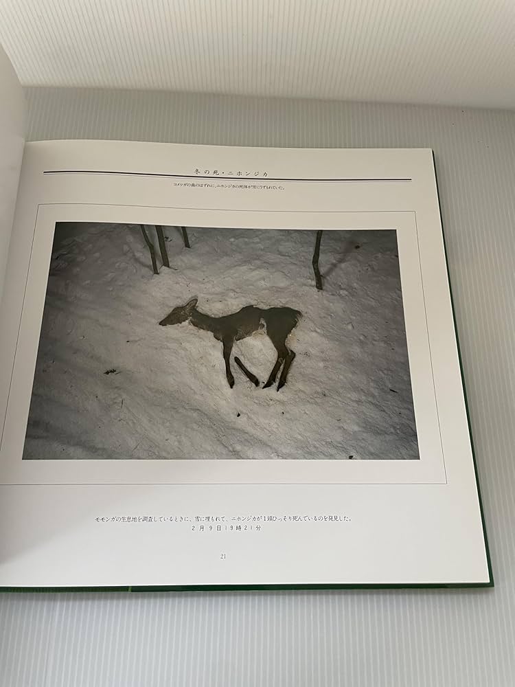 死: 宮崎学写真集 | 宮崎 学 |本 | 通販 | Amazon