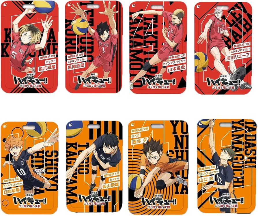 ハイキュー ゴミ捨て場の決戦 チケットファイル チケット付き 日向翔陽