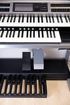 Amazon.co.jp: エレクトーン用エクスプレッション補助ペダル : 楽器