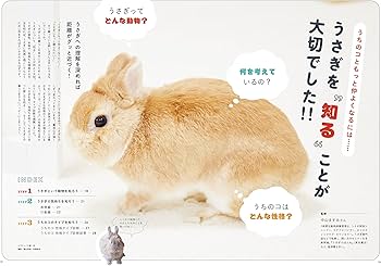 うさぎのきもちVOL.7 ([バラエティ]) | 東京書店 |本 | 通販 | Amazon