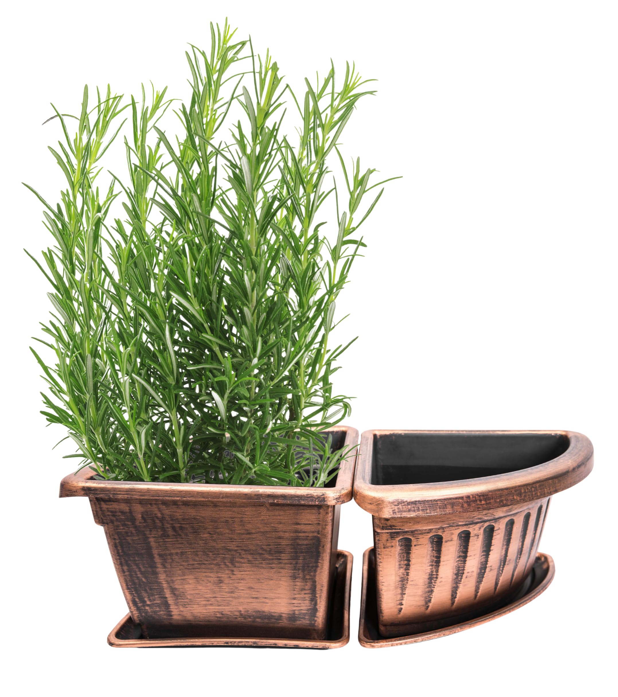 植木鉢andソーサー✳︎POT観葉植物✳︎園芸プランター