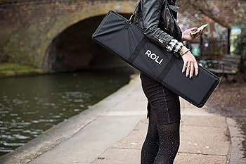 Amazon.com: ROLI ROL-001959 Seaboard Rise 49 Softcase : Musical