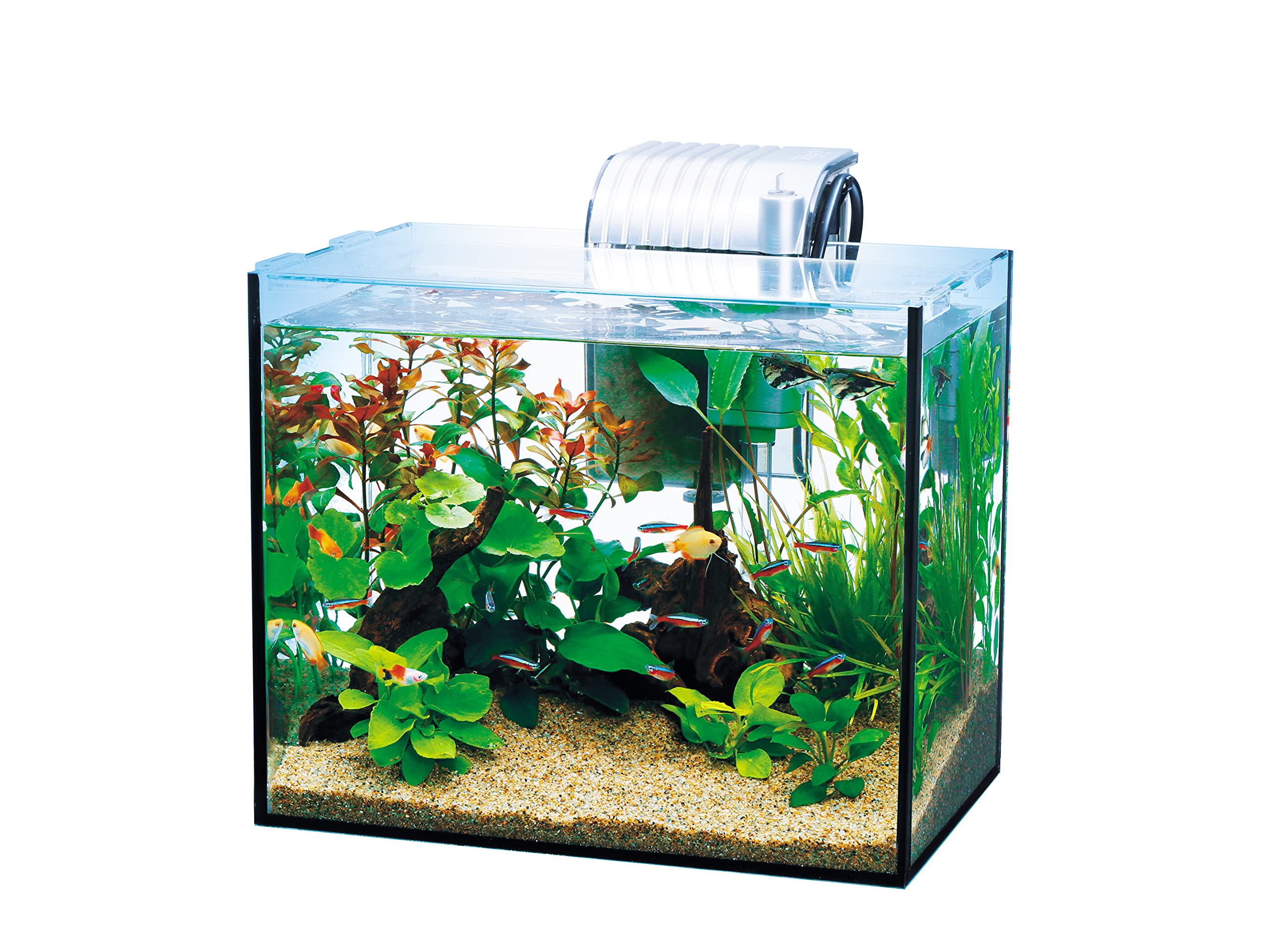 テトラ (Tetra) 水槽 ラウンドグラスアクアリウム300LEDセット 水槽