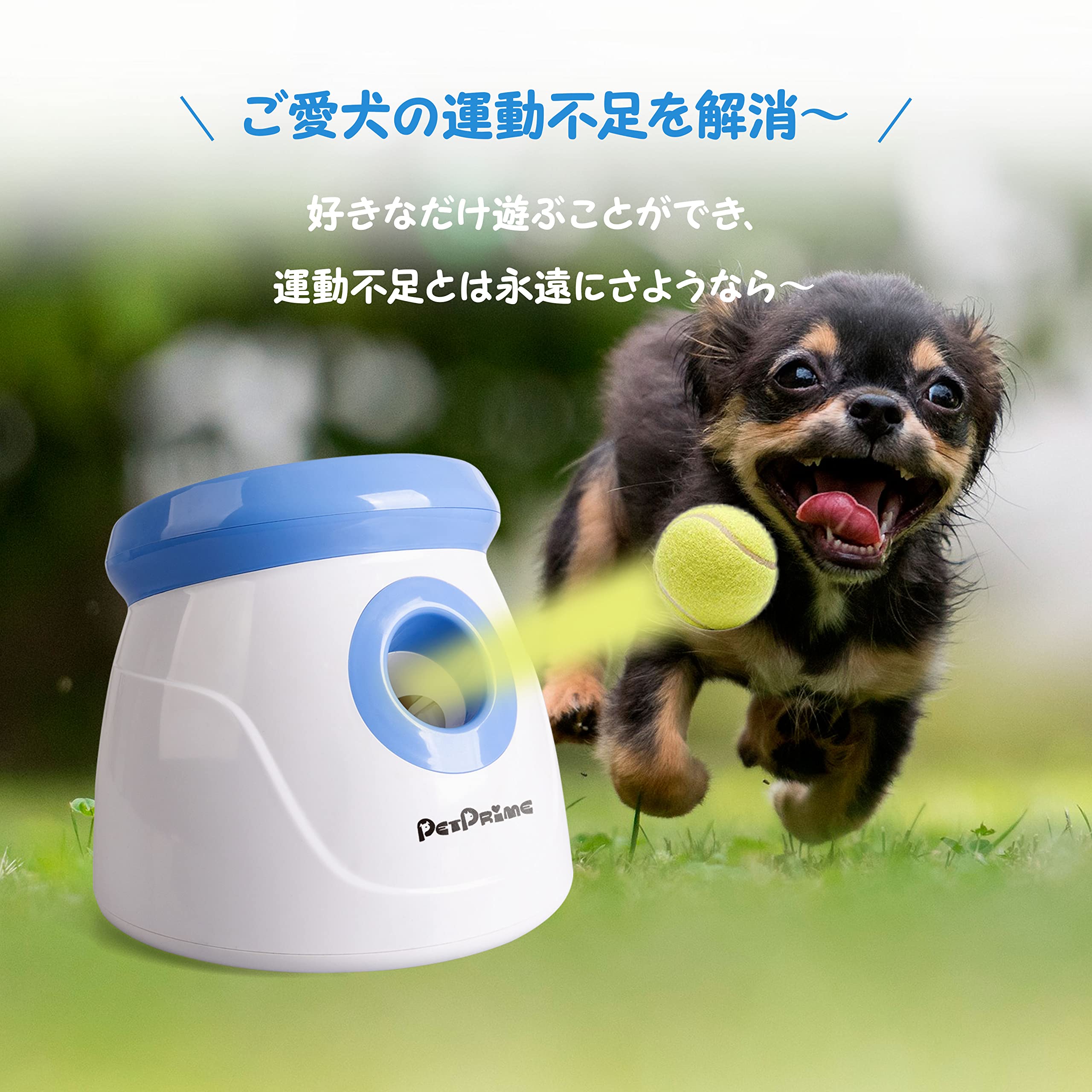 iFetch 犬 自動ボール投げ 購入 iFetch 犬用 自動ボール遊び機 ボール