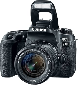 Amazon.com : Canon EOS 77D EF-S 18-55 is STM Kit Black : Electronics