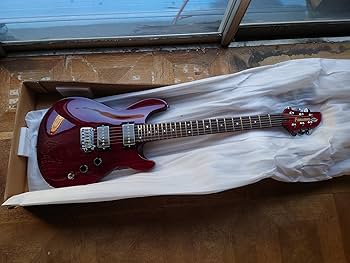 Amazon | FERNANDES エレキギター APG-DLX JPC 2011 DR | エレキギター