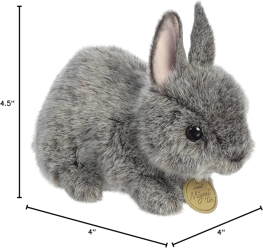 81Ge-p2sXKL._AC_UF894,