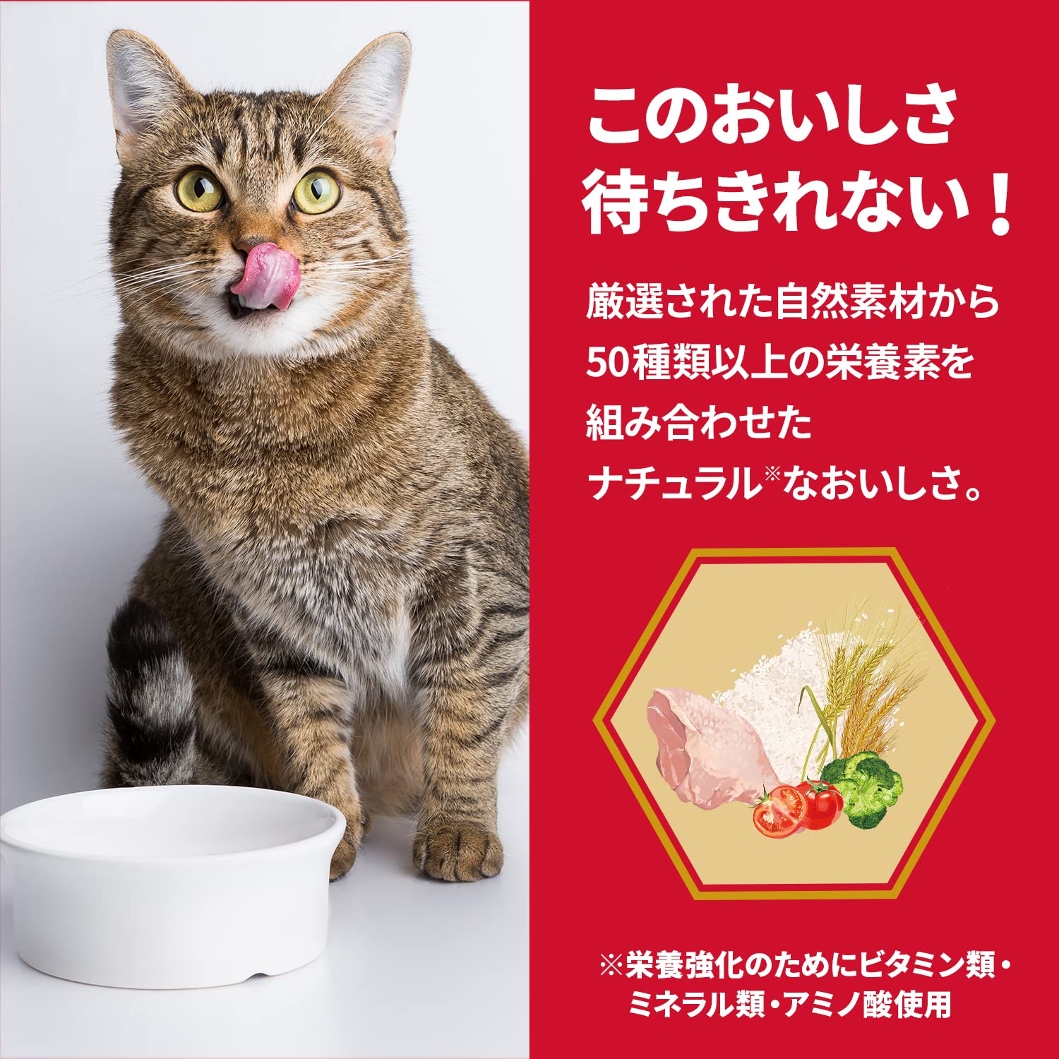 Amazon | サイエンスダイエット プロ キャットフード シニア 腎臓