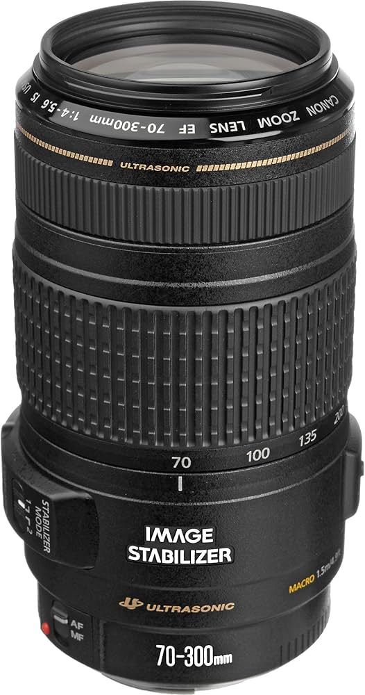 Amazon.com : Canon EF 70-300mm f/4-5.6 is USM Lens for Canon EOS