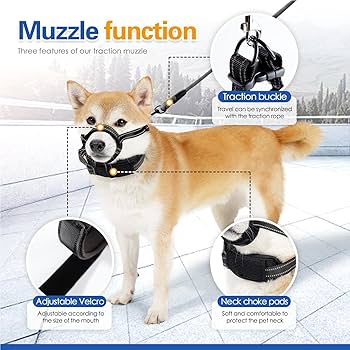 エンタイス15ml犬用2個セット 未使用 シリング付き 2025年最新