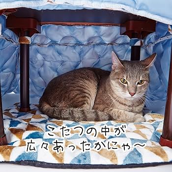 Amazon | ペティオ (Petio) 犬猫用 カラダ全体をあたためるペットの