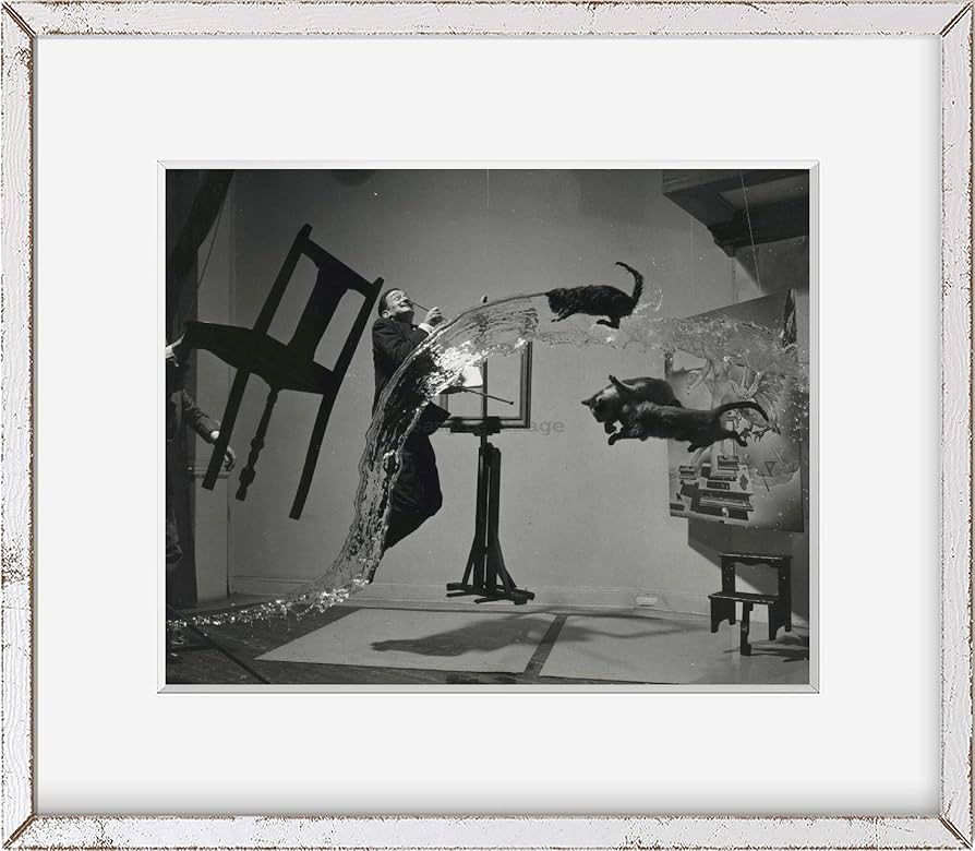 Amazon.co.jp: Photo : Salvador Dali、1904 – 1989、モーション、猫