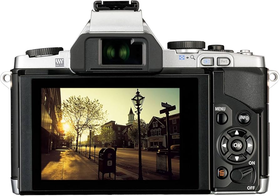 Amazon.com : OLYMPUS E-M5 OM-D Series Digital SLR Camera Body Only