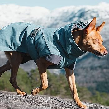 Amazon | フルッタ (Hurtta) エクスペディションパーカー ジーンズ