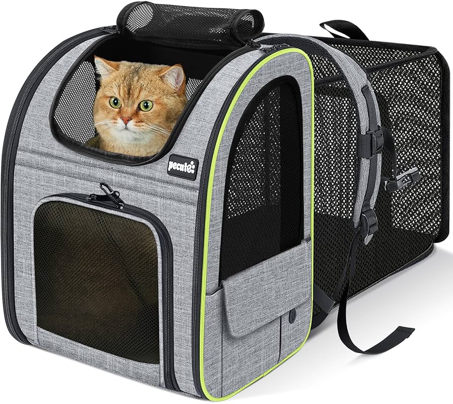 Amazon.co.jp: Pecute 犬 リュック 猫 キャリー リュック 拡張可能