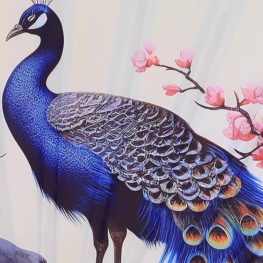 特大扇 アンティーク 孔雀 牡丹 芍薬 巨大掛け扇 箱付 和風インテリア