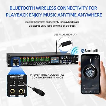 Amazon.com: FULODE K-6 Professional KTV Digital pre-stage Effector