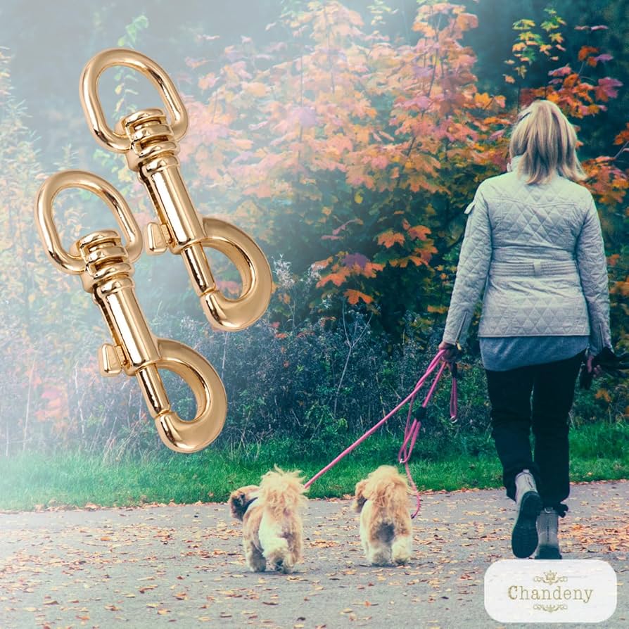 Amazon | [シャンディニー] 犬 リードフック 金具 首輪 バックル