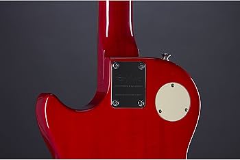 Amazon | Epiphone エピフォン エレキギター Les Paul 100 Heritage