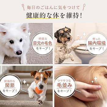 Amazon.co.jp: [犬猫生活] ドッグフード 全年齢 [国産 無添加 獣医師