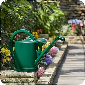 Jerry 鵜飼 ストレンジャー Watering the Garden Jerry 鵜飼