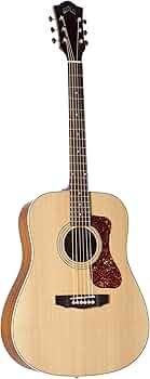 Amazon.co.jp: GUILD (ギルドギター) エレアコギター アーチバック