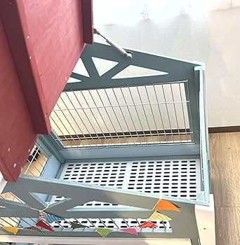 81Nl2Qcr9gL._AC_UF350,