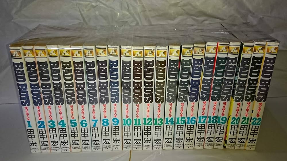 希少】BADBOYS 田中宏 新装版 全22巻セット BAD BOYS 全22巻完結(