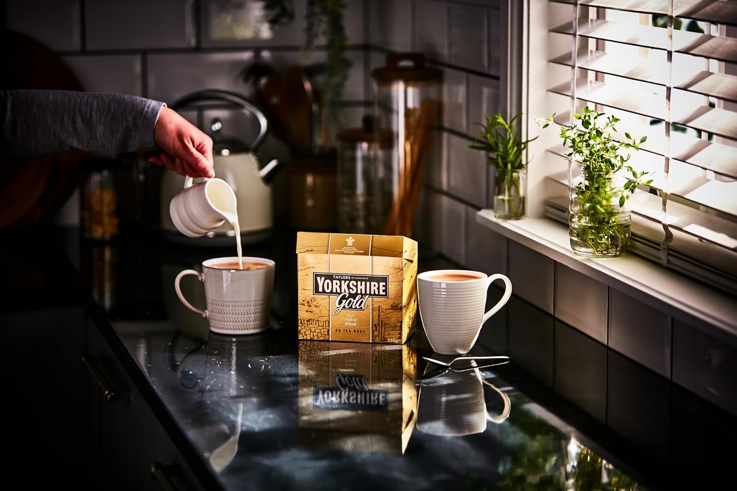 ヨークシャーティー80 6箱セット 480袋 ヨークシャーティー80 6箱