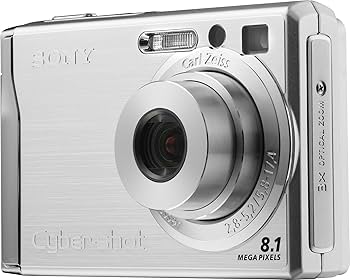 Amazon.com : Sony Cybershot DSCW90 8MP Digital Camera with 3x