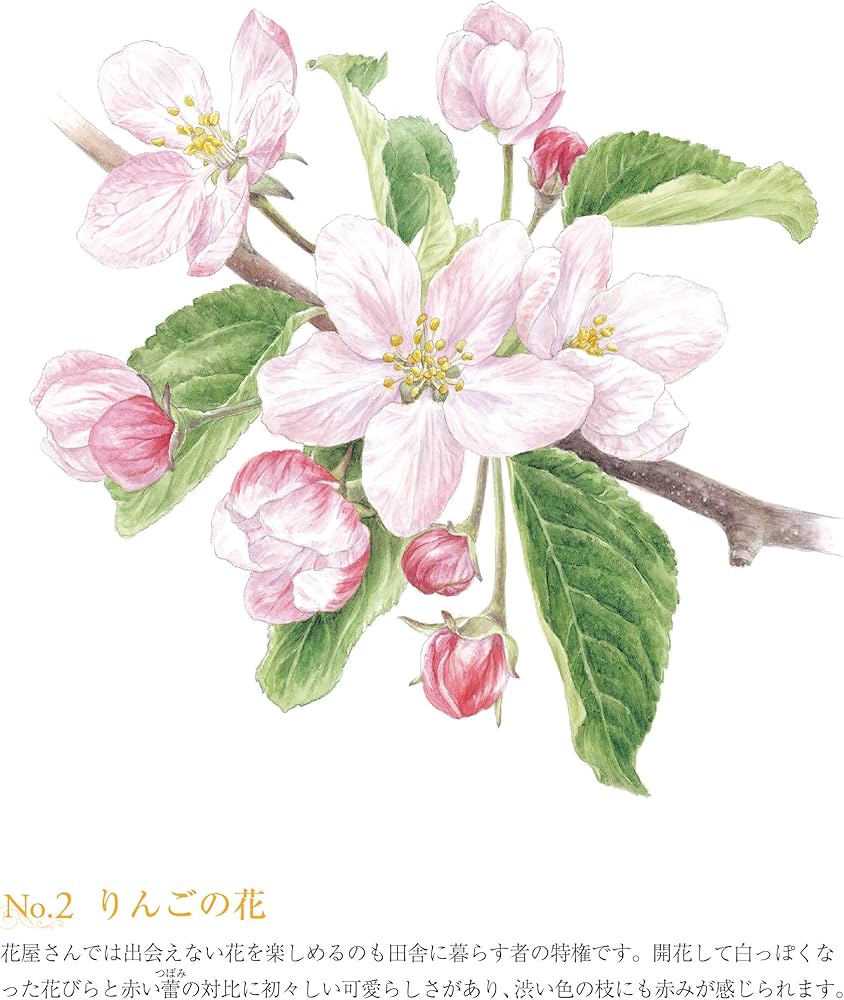 81QAa1e3qbL._AC_UF1000,