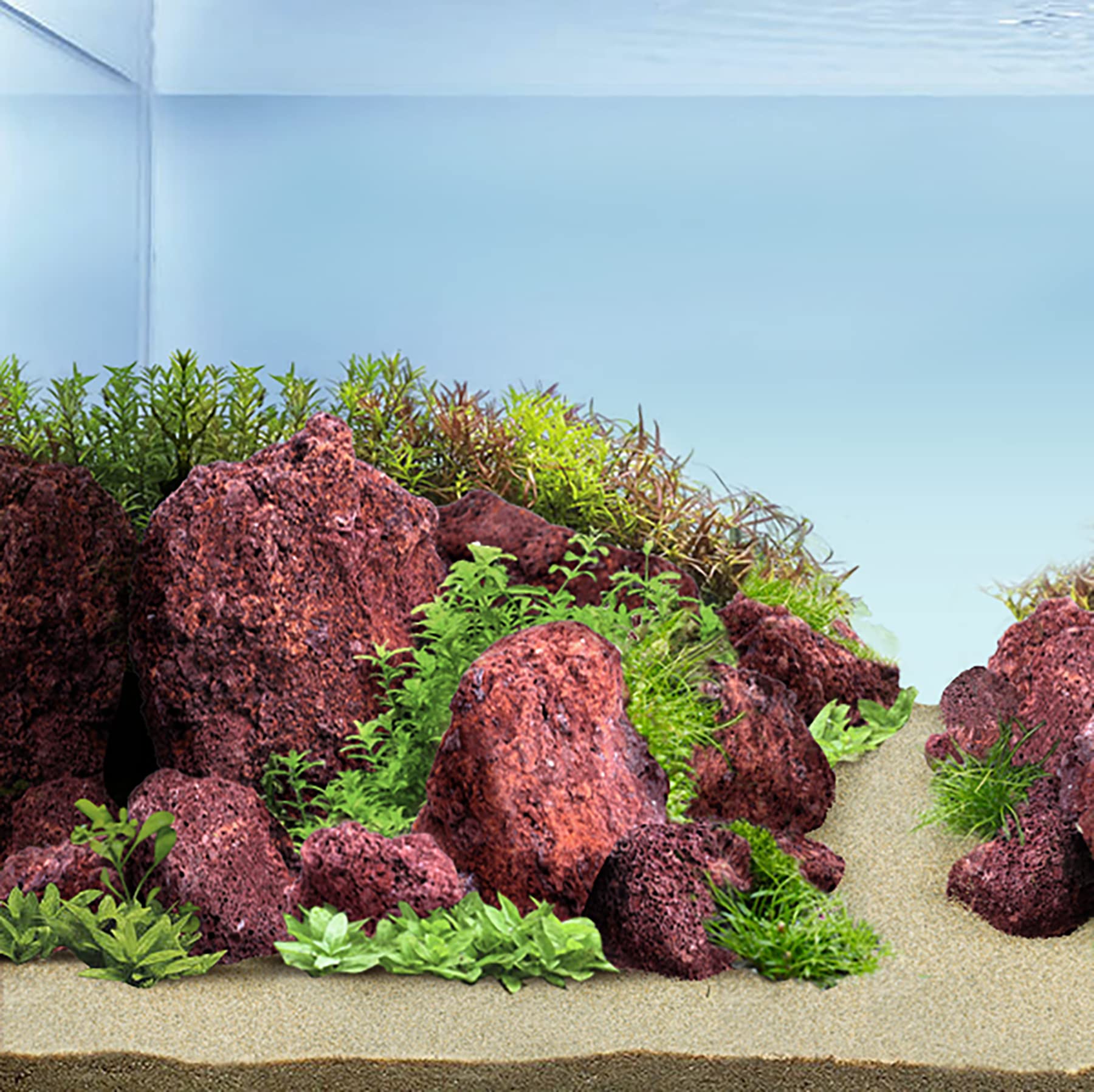 アクアテラリウム水槽 完成品 中型 赤溶岩石レイアウト アクア