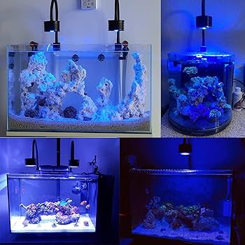 PRIME HD 青色LEDライト