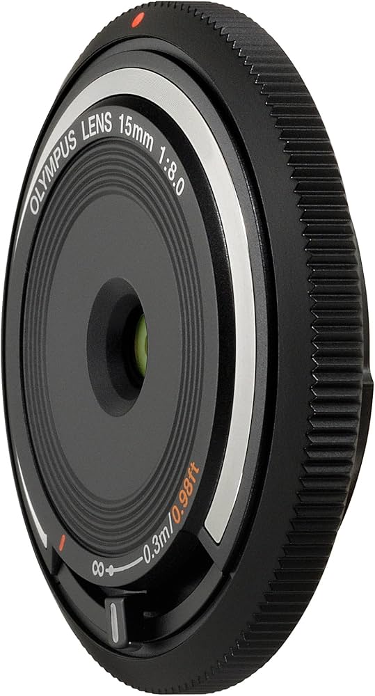 Amazon.co.jp: OLYMPUS BCL-1580 Body Cap Lens for Mirrorless SLR