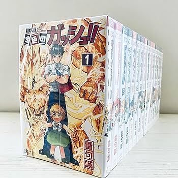 完全版 金色のガッシュ!! 全巻セット 金色のガッシュ!! 完全版 コミック 全