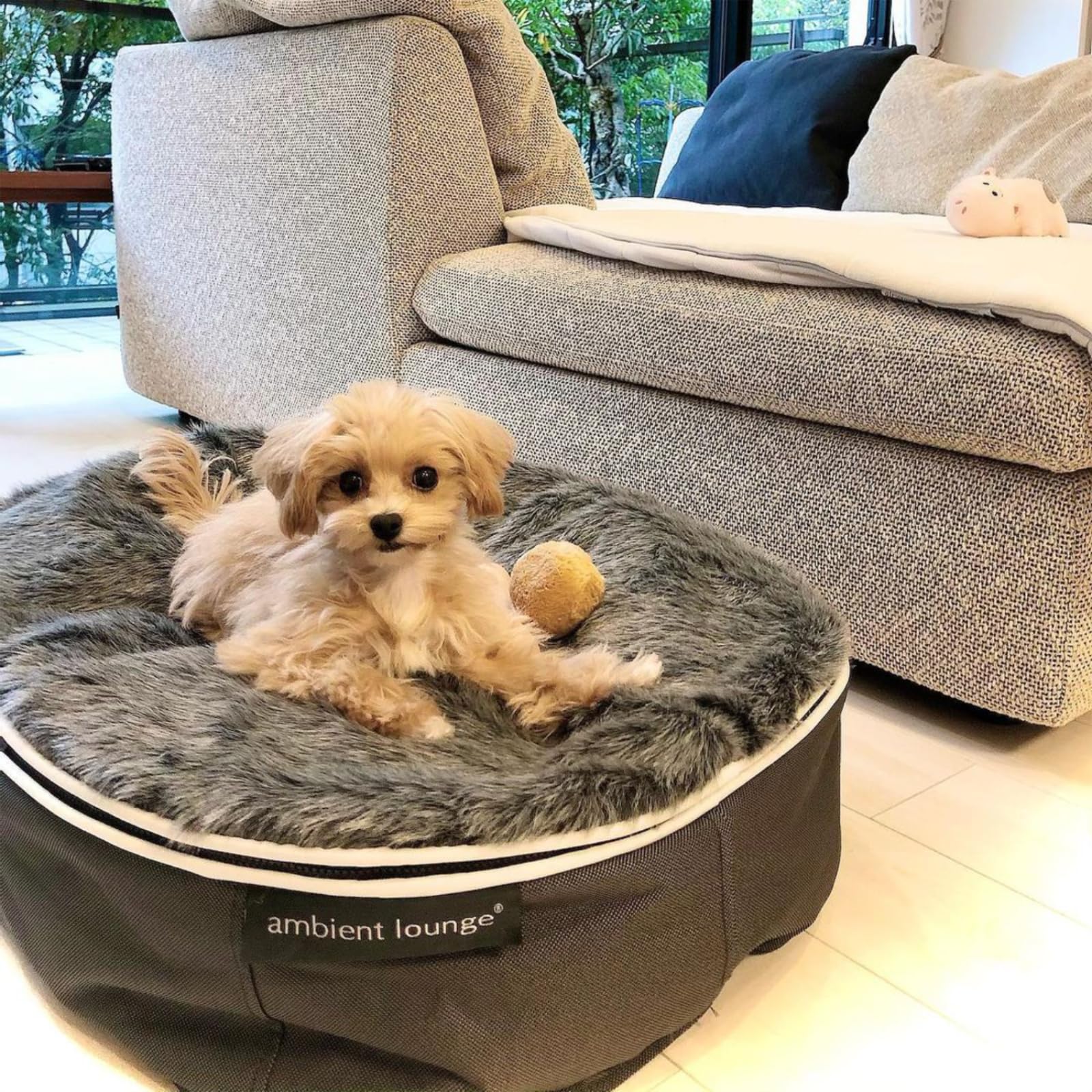 アンビエントラウンジ ペットラウンジフード付き Sサイズ ペット