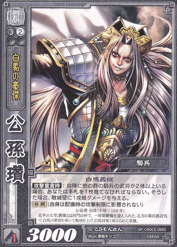 三国志大戦TCG 引退 まとめセット 約11000枚以上称号プレイマット