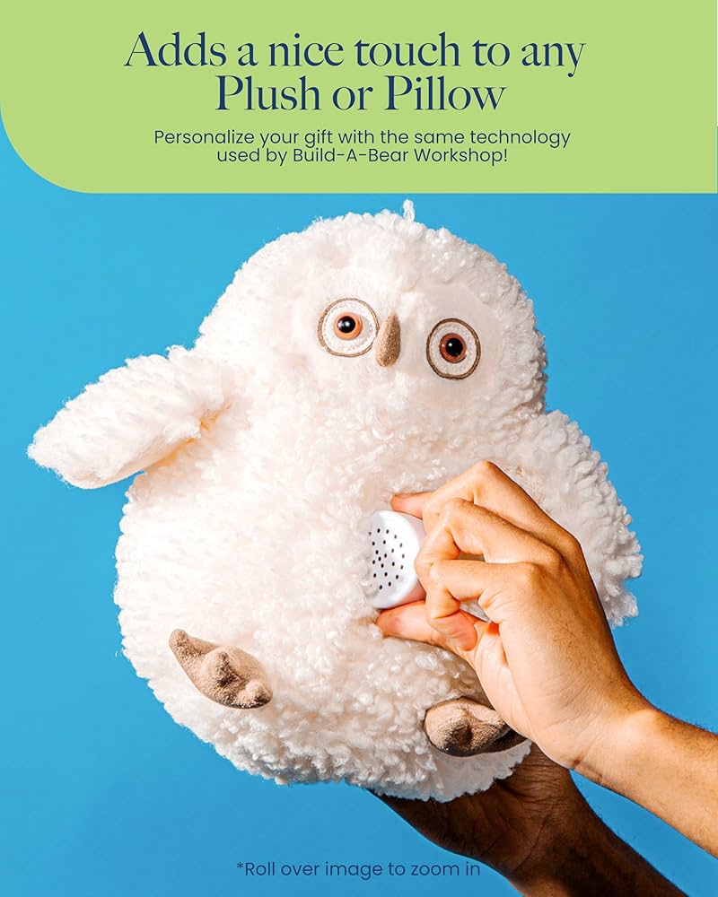 C-C-B☆おしゃべり倶楽部☆ぬいぐるみ☆クマちゃん メッセージ録音☆CCB☆